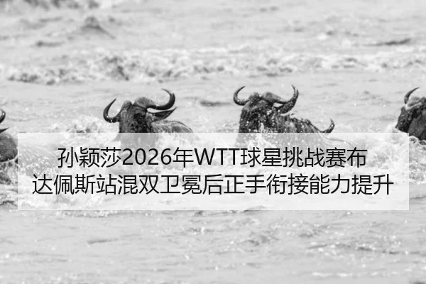 sun-ying-sha-nian-qiu-xing-tiao-zhan-sai-bu-da-pei-si-zhan-hun-shuang-wei-mian-hou-zheng-shou-xian-jie-neng-li-ti-sheng-2-757.jpg